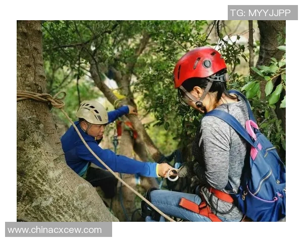 深圳攀岩队的区域防守策略解析与攀岩热点的深度探讨